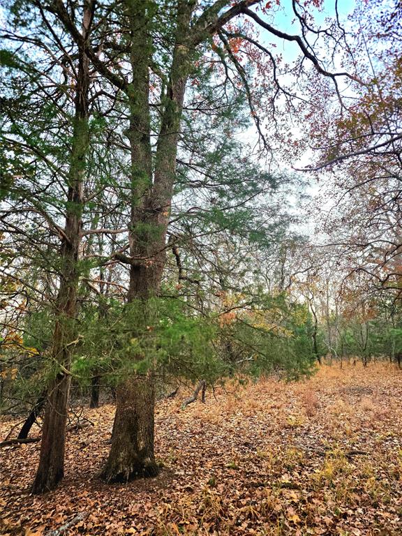 Safari Waters Ranch - Land