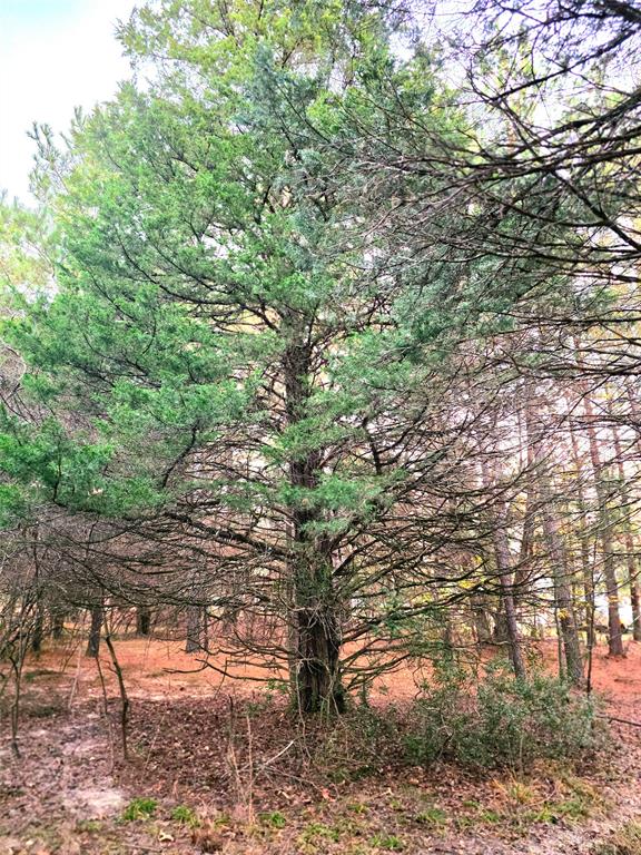 Safari Waters Ranch - Land