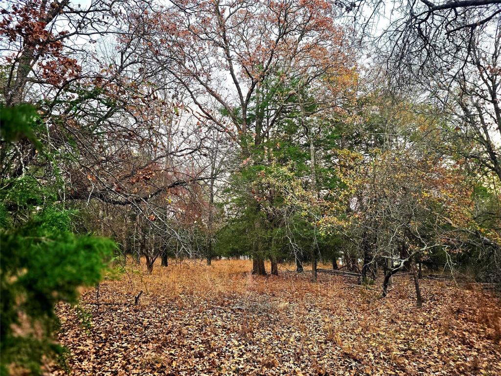 Safari Waters Ranch - Land