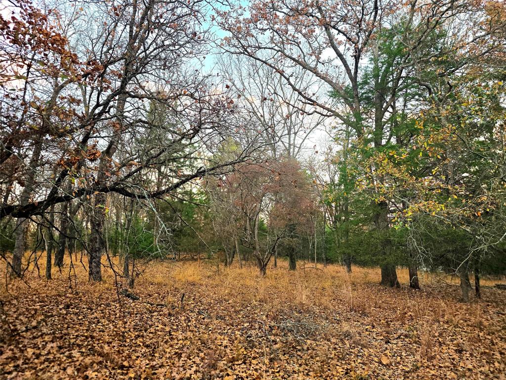 Safari Waters Ranch - Land