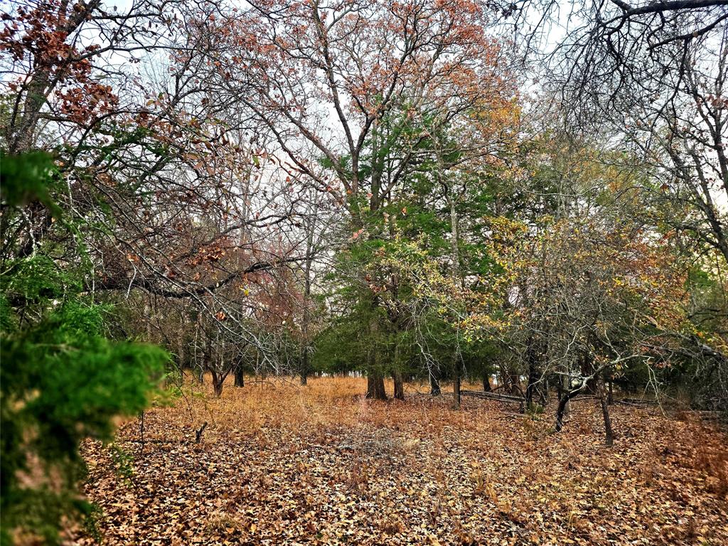 Safari Waters Ranch - Land