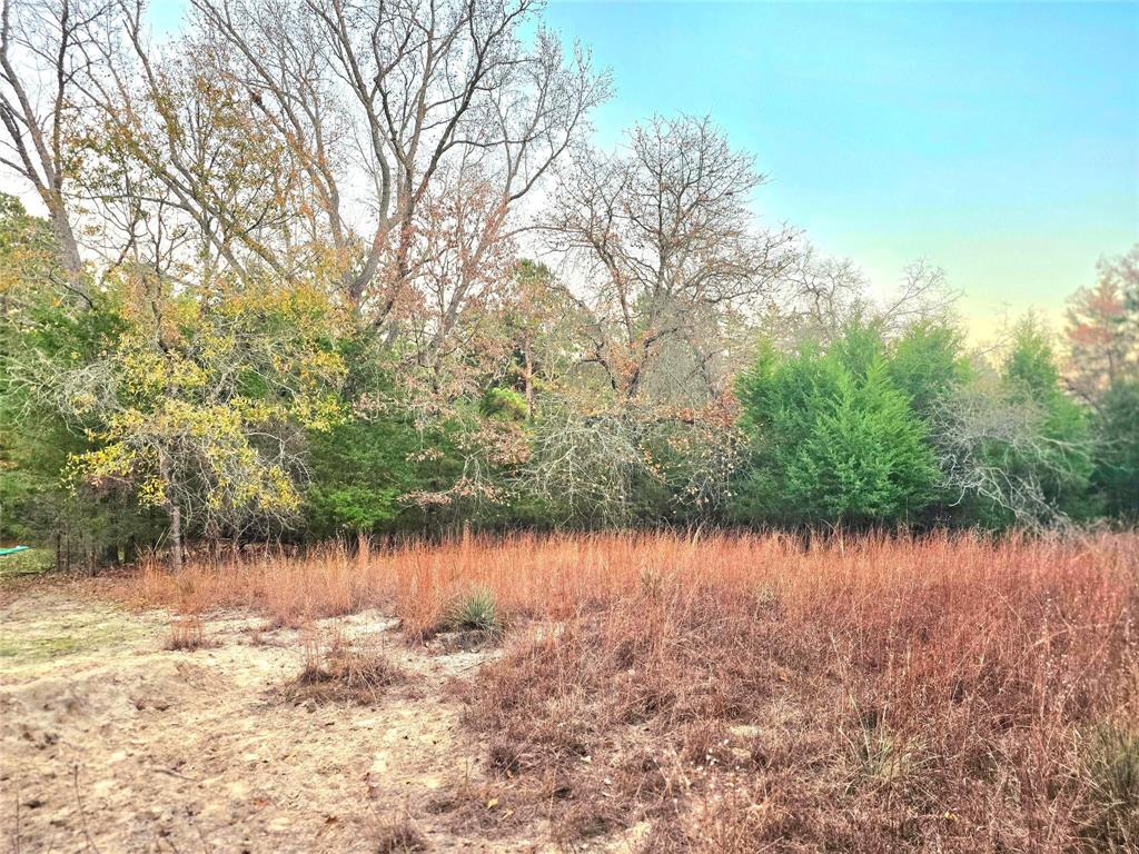 Safari Waters Ranch - Land