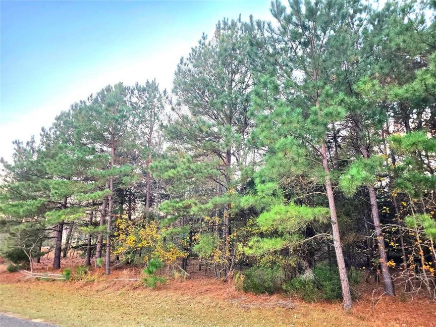 Very rare 2.01-acre hilltop lot in Safari Waters Ranch! Discover an extraordinary opportunity to build your dream home on a prime hilltop homesite within the exclusive, gated Safari Waters Ranch community in Larue, TX. This lot offers a level build site on top of a hill covered with mature trees and a unique lifestyle surrounded by nature and wildlife. Safari Waters Ranch is renowned for its exotic residents—zebra, Pier David deer, and axis deer that roam freely across the neighborhood—creating a one-of-a-kind living experience. Residents enjoy private lake access, perfect for fishing, boating, and relaxing by the water. The community also features secure gated entry, scenic private roads perfect for walks, and a tranquil setting that blends luxury with the outdoors. This property is Ag-exempt, meaning low county and school taxes. No timeline limit to build. This lot is located approximately 12 miles south of Athens, TX. There are 3 private lakes at Safari Waters Ranch. Numerous community common areas, RV parking at Camp Safari, and dry storage are available for your trailer-RV. Own a piece of this East Texas paradise. You just have to see this community and all the natural beauty. Close to Athens, TX, but still feels like you live in the country. Bring your boat and fishing poles for trophy bass fishing in three private neighborhood lakes. Build your future here—where natural beauty, exclusivity, and community amenities come together in a setting unlike any other. (Owner-Agent)