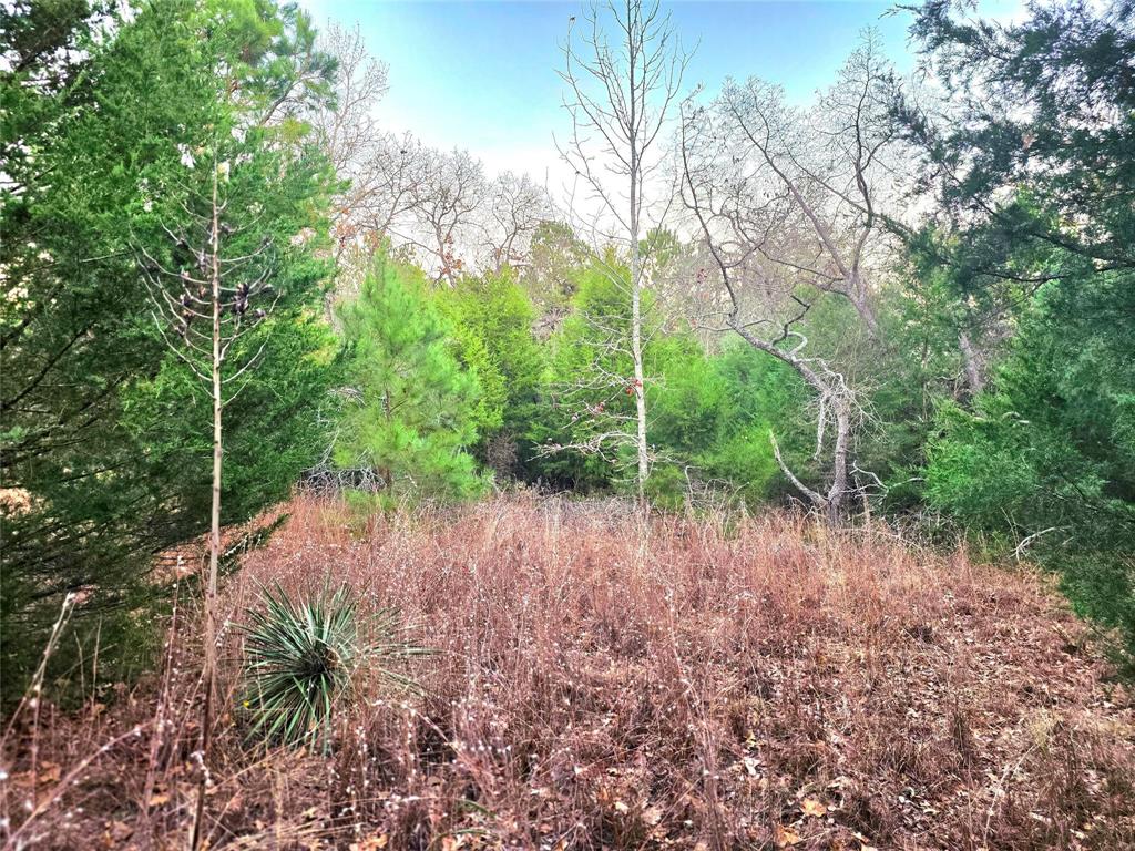 Safari Waters Ranch - Land