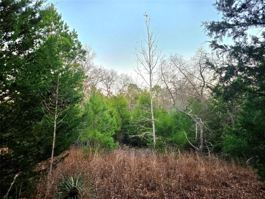 Safari Waters Ranch - Land