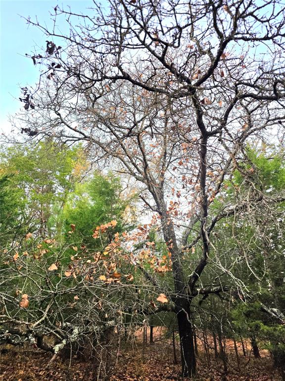 Safari Waters Ranch - Land