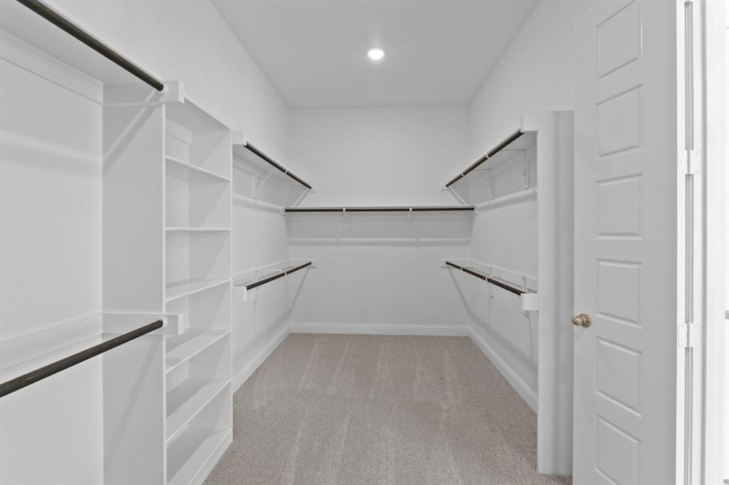 Painted Tree - Residential