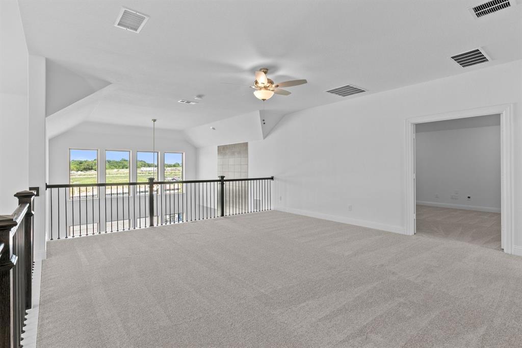 Painted Tree - Residential