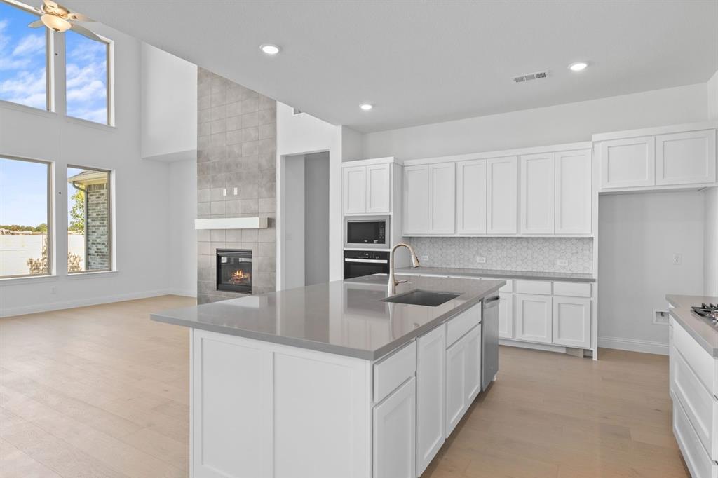 Painted Tree - Residential