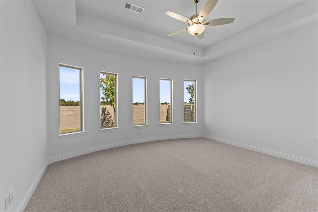 Painted Tree - Residential