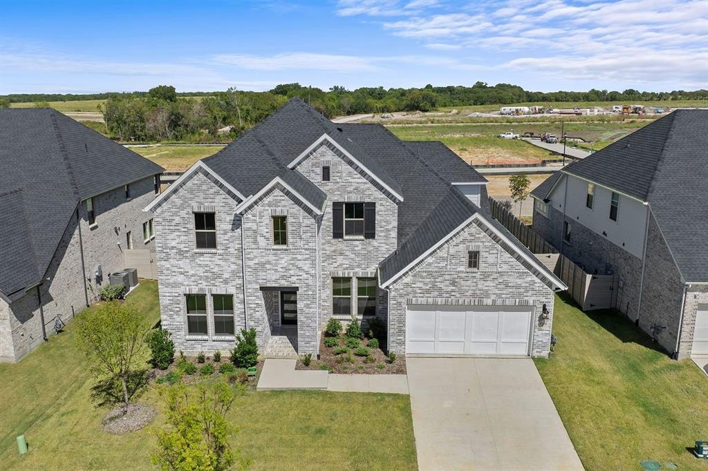 Painted Tree - Residential