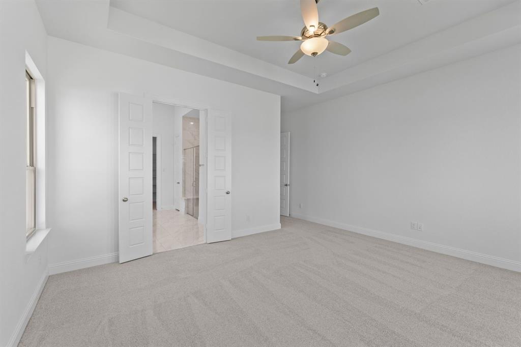 Painted Tree - Residential