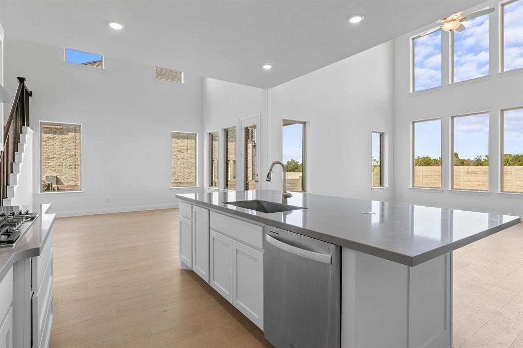 Painted Tree - Residential