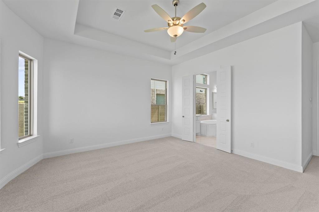 Painted Tree - Residential