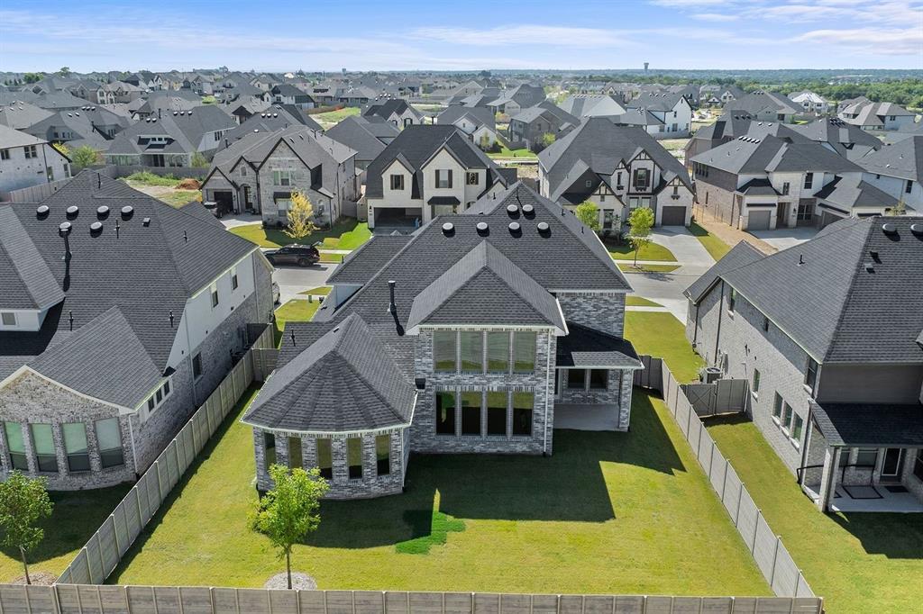 Painted Tree - Residential