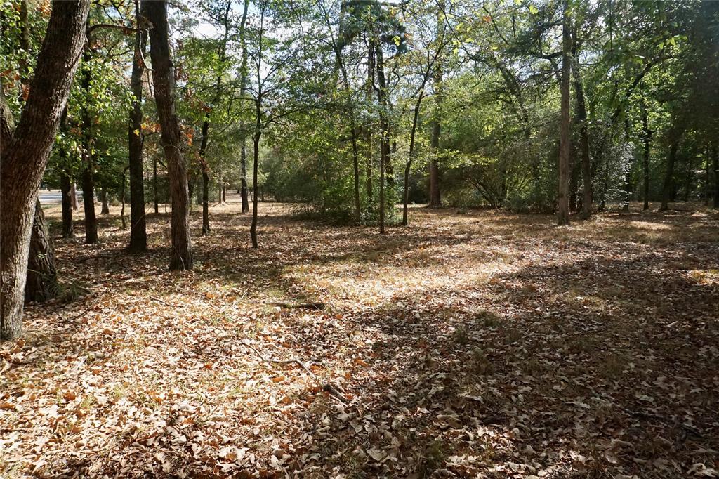 TBD Lot 146 (Evening Shadows Trail) Trail