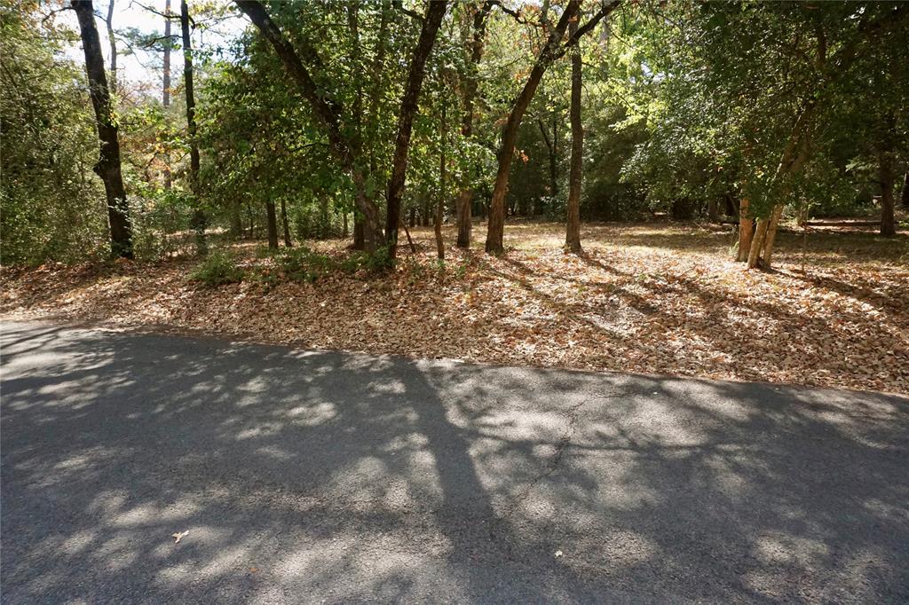 TBD Lot 146 (Evening Shadows Trail) Trail