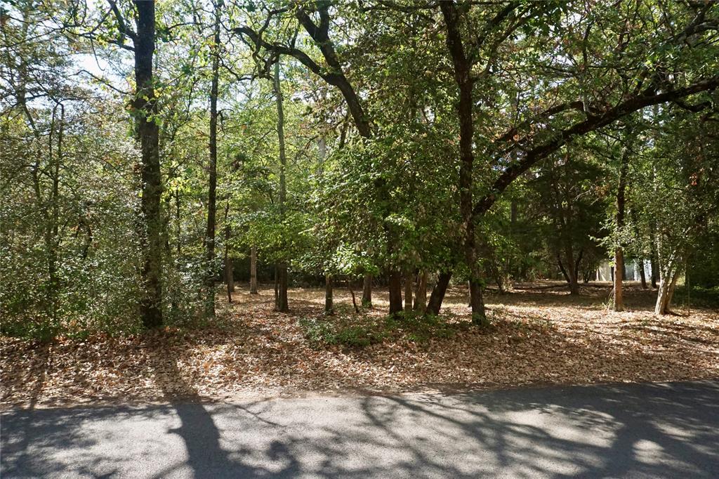 TBD Lot 146 (Evening Shadows Trail) Trail
