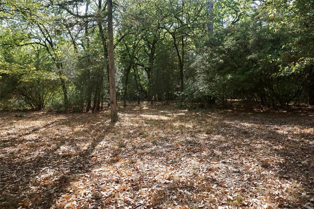 TBD Lot 146 (Evening Shadows Trail) Trail