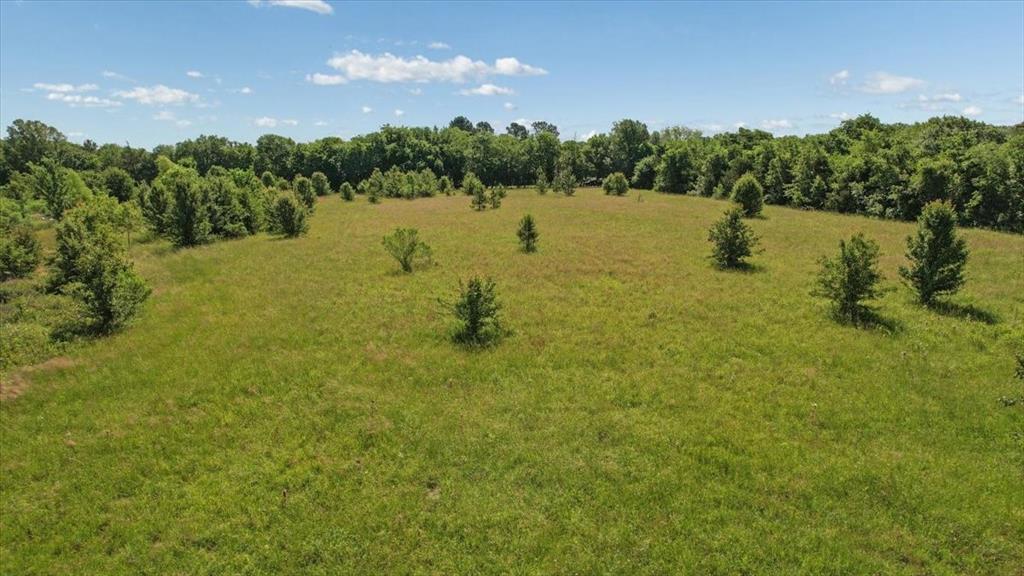 City Of Paris - Land