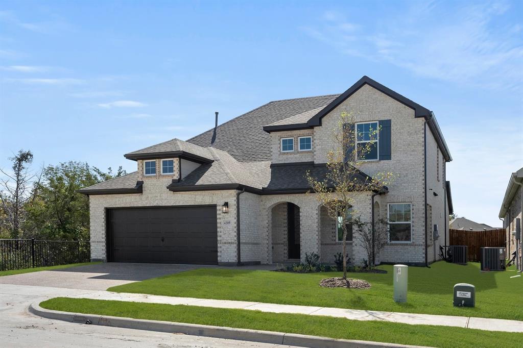 4309 Marsh Hawk