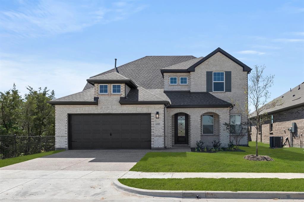 4309 Marsh Hawk