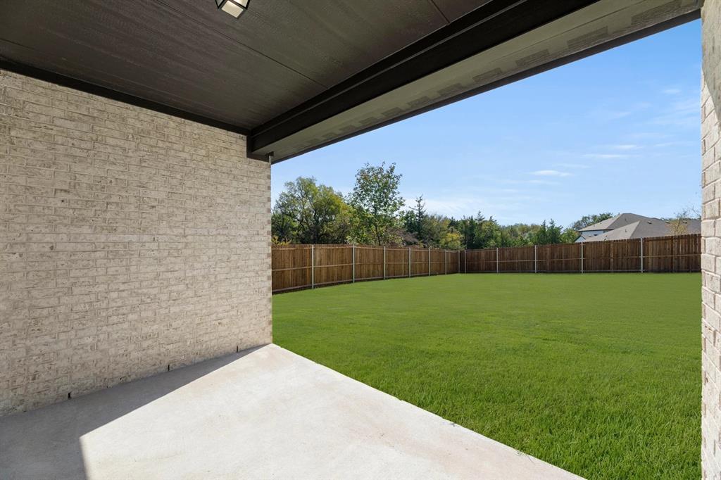 4309 Marsh Hawk