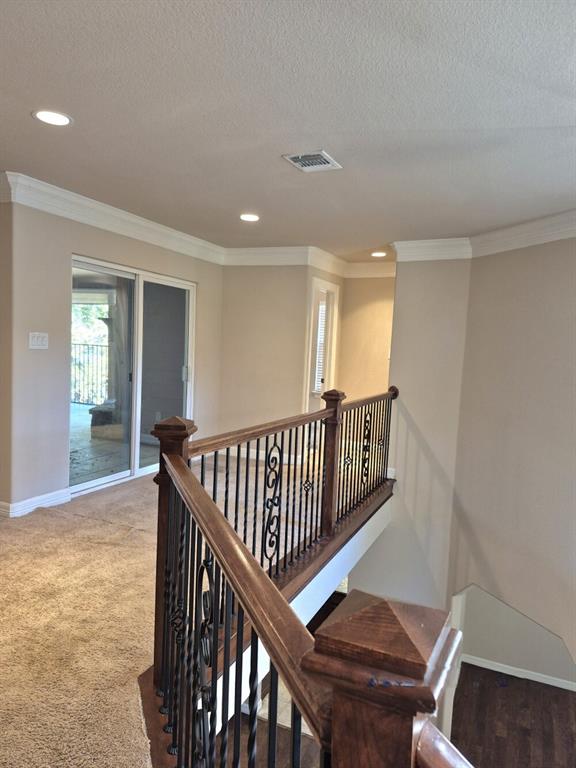 North Lake Highlands - Residential