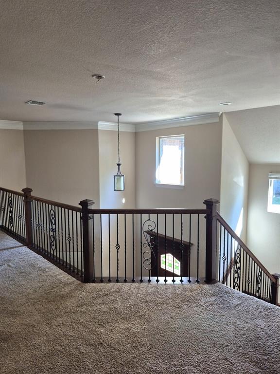 North Lake Highlands - Residential