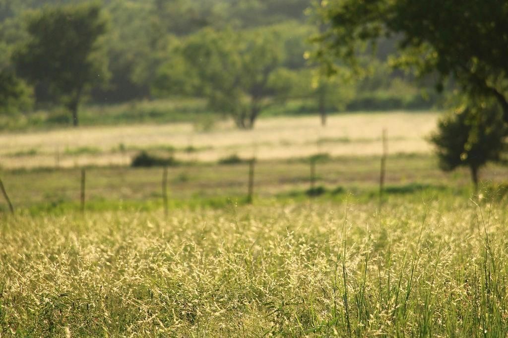 Photo of T B D HAYES Road, Mineral Wells, TX 76067 (MLS # 21150833)