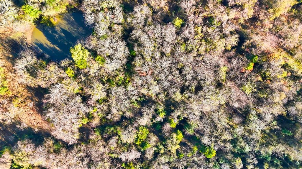 ABST 173 TR 9&10 G Cassaland - Land