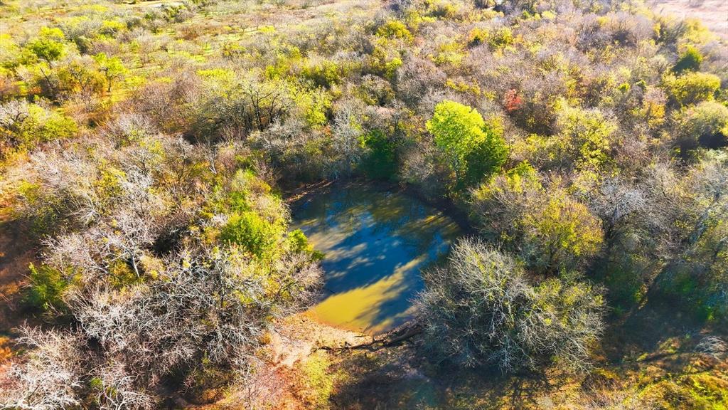 ABST 173 TR 9&10 G Cassaland - Land