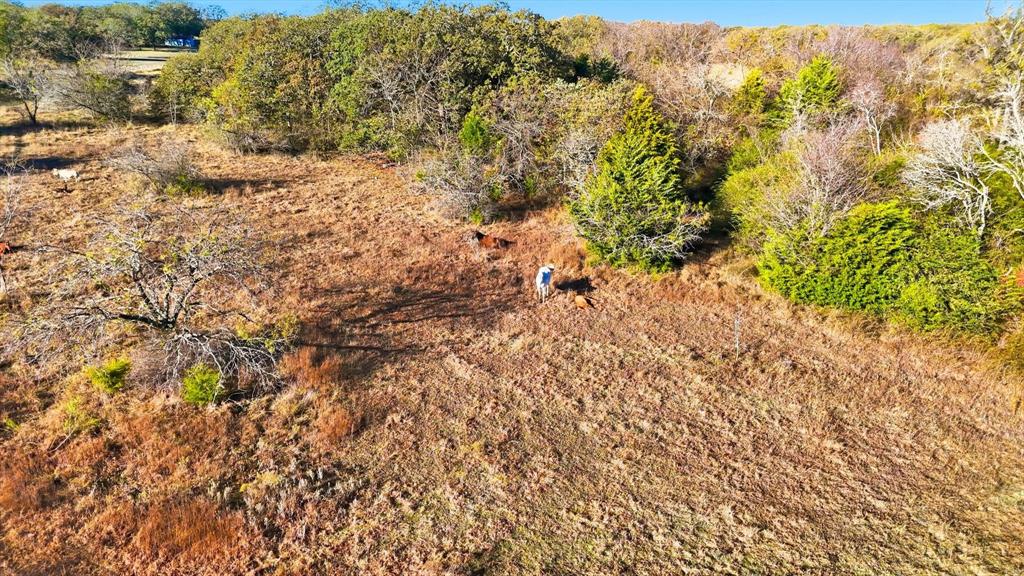 ABST 173 TR 9&10 G Cassaland - Land