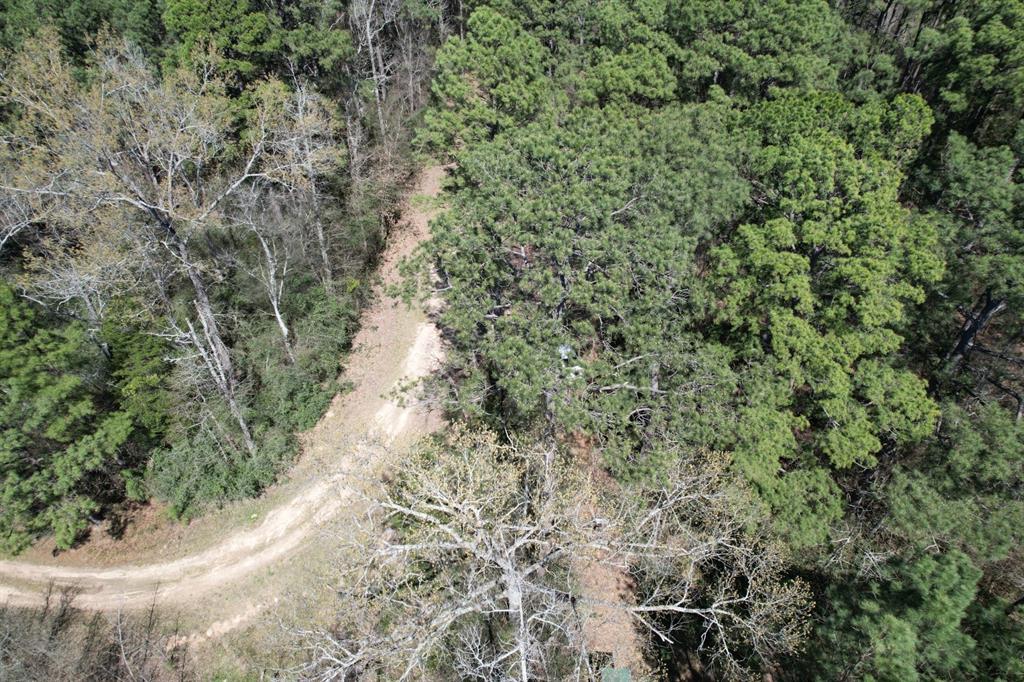 TBD Billy Ray Rd