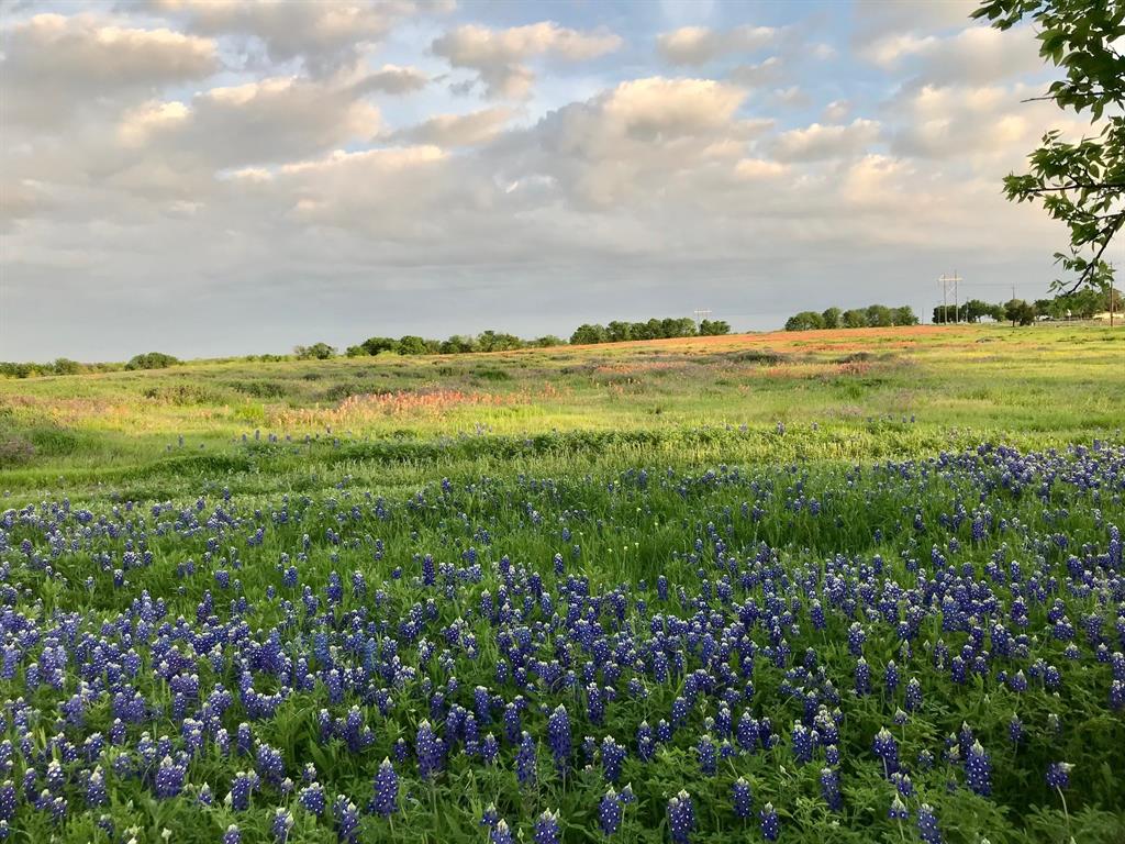 Mullican Place Ranchettes - Land