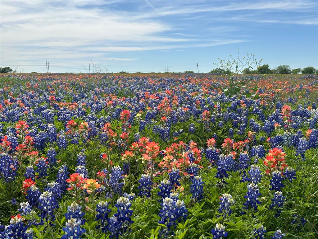 Mullican Place Ranchettes - Land