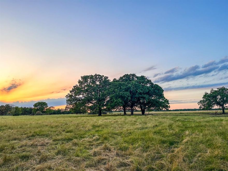 Beautiful 25 acre tract ready to build on. Take a look at this incredible opportunity in Fannin County, Texas. This property offers a great blend of mature timber and pastures. Bring your plans and build a custom dream home and enjoy all that the country life has to offer. There is plenty of room for livestock or horses.  New water well and electric on site. Ready to build.  Nice pond and creek on property with tons of wildlife. Ag Exempt.  This tract is located just South of Sam Rayburn High School, 20 mins to Bonham and 15 mins to Bois D’Arc Lake.
