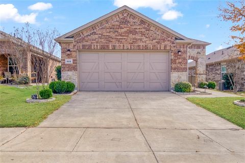 A home in Little Elm