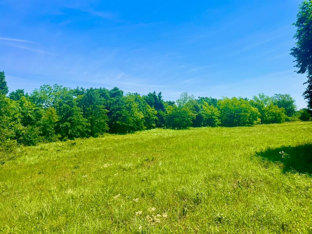 Sarra Ranch Estates - Land