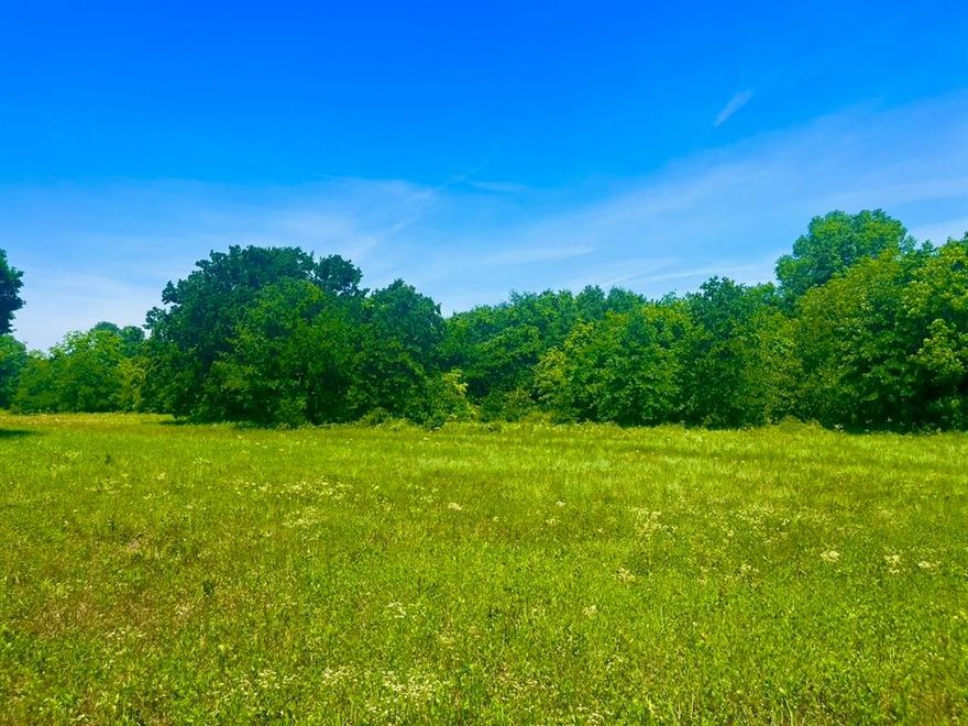 Lot 103 is on a hard corner tucked away in the relaxing community of Sarra Ranch Estates. Located about 12 minutes North of the Weatherford courthouse, Sarra Ranch provides the opportunity to grow your roots in Parker County, one of the most coveted counties to live in Texas. Being one of the biggest lots in the community containing several mature oak trees and having a seasonal creek for natural border line in the rear, this lot has numerous build spots to watch hundreds of beautiful sunrises and sunsets. The best features of this lot are its size, generally flat with ample space for multiple buildings, and the amazing trees scattered on it. Sarra Ranch has a total of 103 lots in a private loop so you can safely jog around the whole neighborhood or take your horse for a run. Choosing Sarra Ranch Estates will give you a proud place to live the country life and build long lasting friendships with other neighbors. Welcome Home.