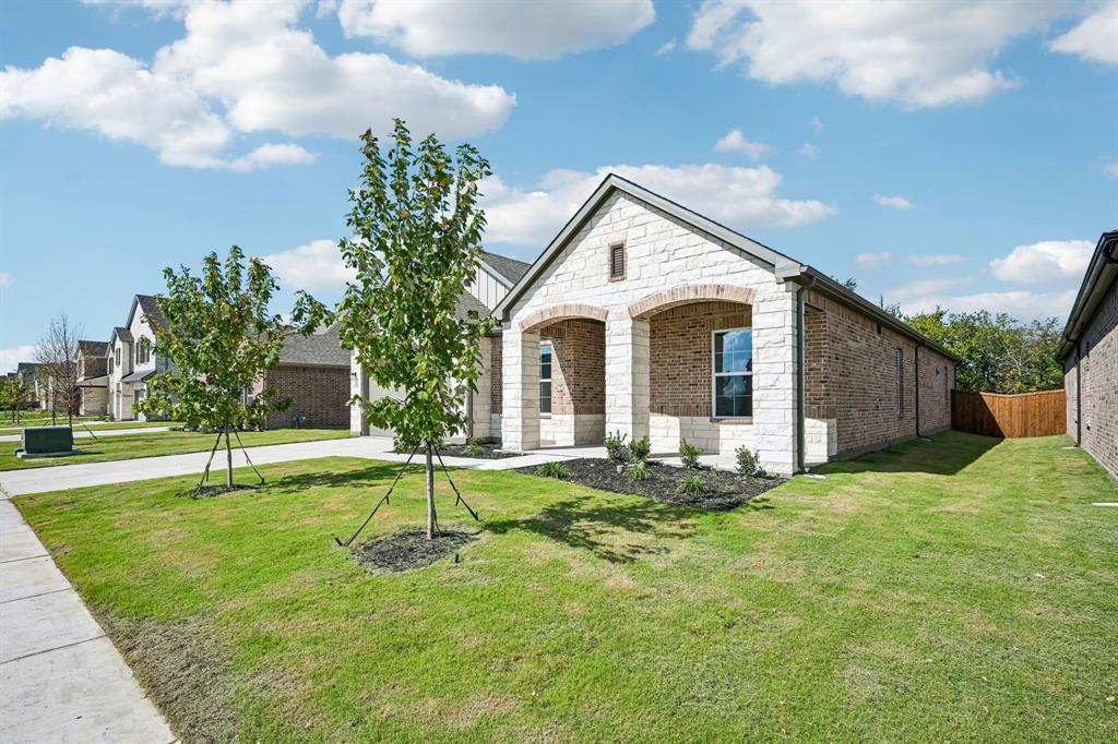 1721 David Drive