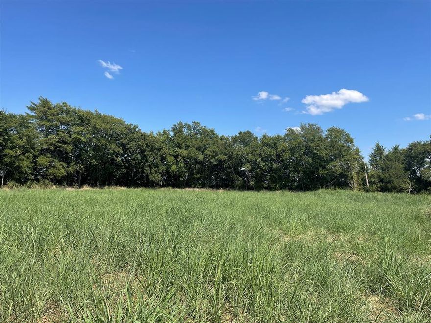 Need room for your horses, cattle or just need hay pasture? Then take a look at this 79.5+- acres with two ponds, a creek and a touch of woods. There is  60 +- acres of open pasture that is fenced with 5 strands of barbwire and is seeded with improved native grasses. The remaining 19 +- acres has mature trees, an atv trail, and a small weather creek.  Property is located about one mile from the Ralph Hall Lake that is currently under construction. Water provider is Gober Mud and electric provider is Fannin Electric. Buyers to verify utility access and cost.