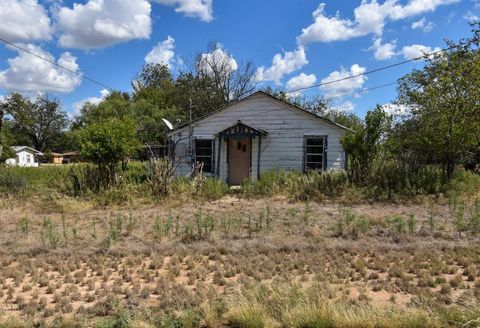 1101 S Plum Brady TX 76825