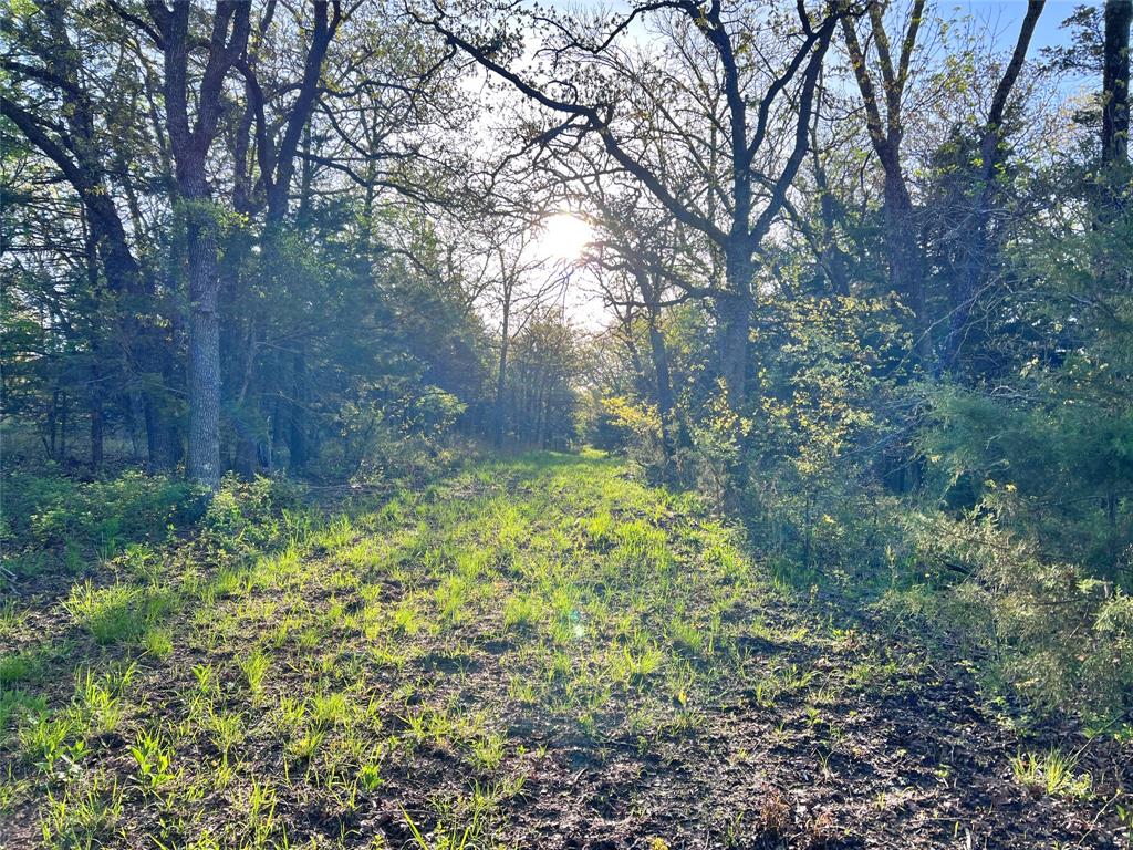 000 County Road 417