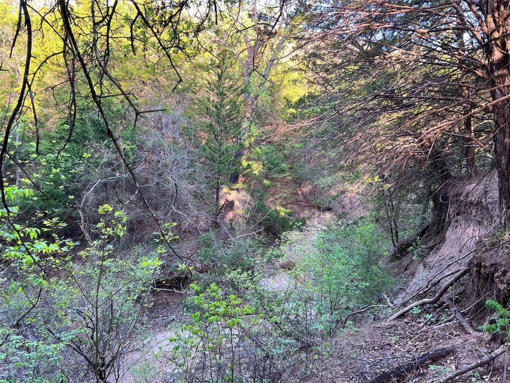 000 County Road 417