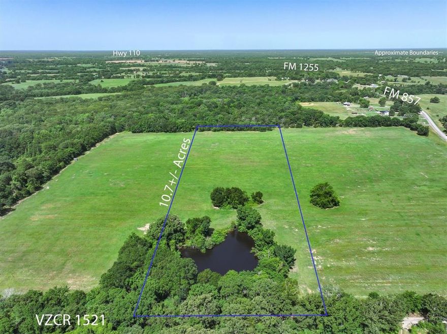 If you're dreaming of a place to build with room to breathe, this 10.7-acre tract on County Road 1521 might be exactly what you’ve been looking for. Located just outside of town in the peaceful Grand Saline countryside, this blank-slate property gives you the space and the freedom to make it your own.

Light restrictions allow for a custom home, barndominium, or a new double wide, and Pruitt Sandflat Water has confirmed service to the area. The land is currently AG exempt, and the wide-open pasture makes site prep easy and straightforward. Whether you’re planning to build now or hold for later, this one’s got potential written all over it.