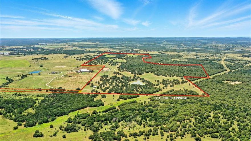 This 280± acre high-fence ranch in Jacksboro, TX checks all the boxes. The land is loaded with improved pastures, three big tanks, and scattered with massive oak trees that give it that classic North Texas feel. The ranch is set up and ready to roll with a solid 1,610 sq ft 3 bed, 2 bath home that makes for a great weekend place or full-time home base.
If you’re into hunting, you’re covered. The property is home to whitetail, axis, and blackbuck, all roaming behind the high fence, which all convey with the property. It also comes with 4 well-placed blinds and 4 feeders already in place, so you're ready for the season on day one.
On the livestock and roping side, the setup is just as dialed in. There’s a full 130'x300' roping arena complete with return alley, boxes, chutes, and even a raised viewing stand. Next to that, you've got holding pens, a hydraulic squeeze chute, and a livestock scale—all designed to make working cattle efficient and easy. Whether you’re hunting in the morning, roping in the afternoon, or just kicking back under the oaks by one of the tanks, this place is built for work and play. Hard to find one this ready to go in such a great location.