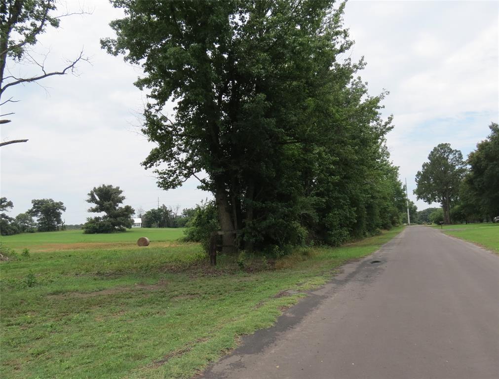 Young Acres Tract - Land