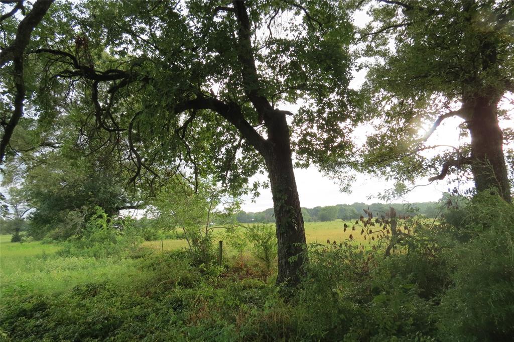 Young Acres Tract - Land