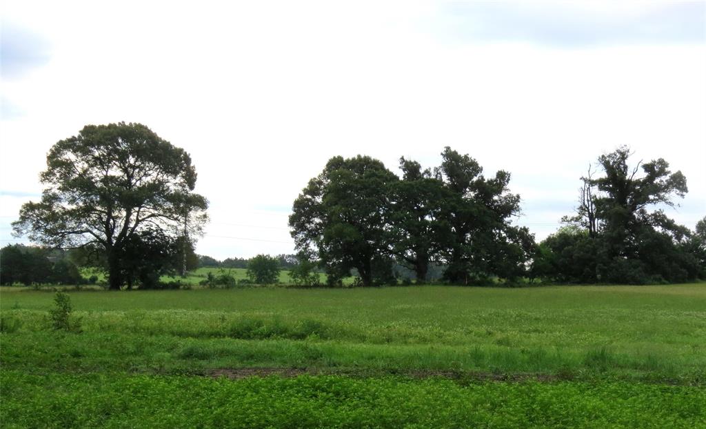 Young Acres Tract - Land